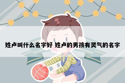 姓卢叫什么名字好 姓卢的男孩有灵气的名字